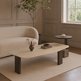 طاولة قهوة قطعتين ميتا - اسود وبيج