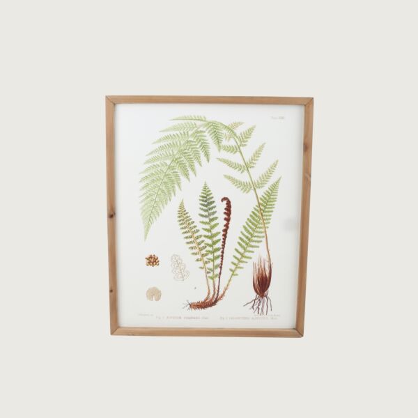 لوحة نباتات ببرواز خشبي ريناس