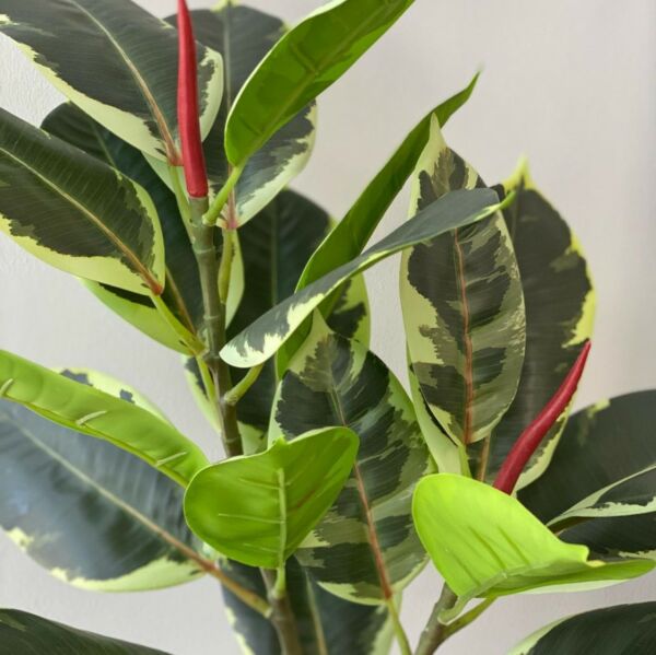 مركن زرع وخضار بورنا - متعدد الألوان