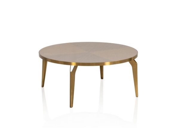 طاولة قهوة جولد سيركل
