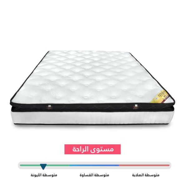 مرتبة جولد بلس