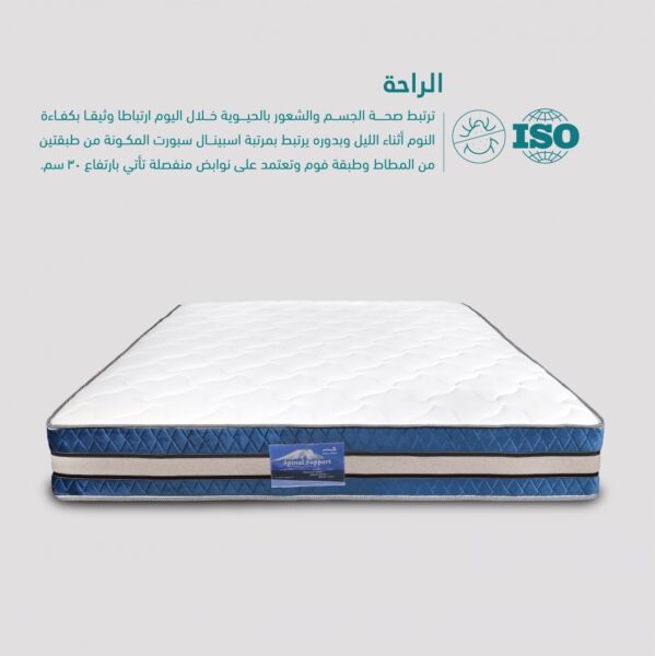 مرتبة اسباينال سبورت