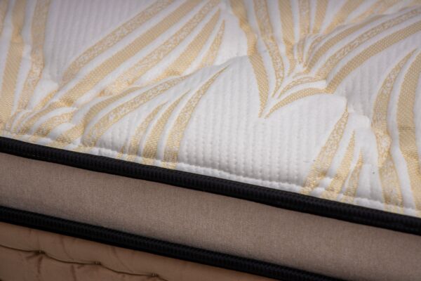 مرتبة اسبينال رستن