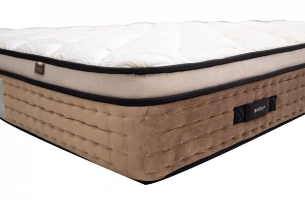 مرتبة اسبينال رستن