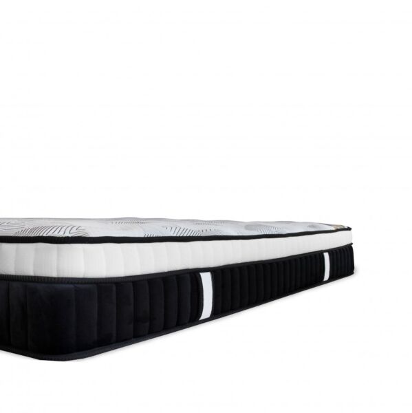 مرتبة كلاسيك بلس