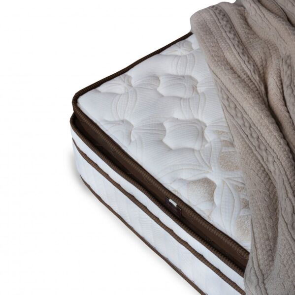 مرتبة دريم بلس