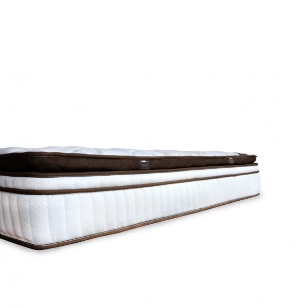 مرتبة دريم بلس