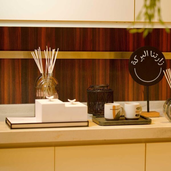 صندوق تنظيم منس سيا - ابيض واسود