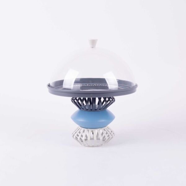 حامل كيك مع غطاء من آريا