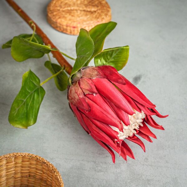 نبتة صناعي زهرة بروتيا حمراء - 12 قطعة