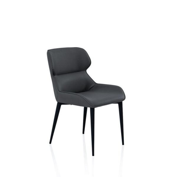 كرسي طاولة طعام رادسي