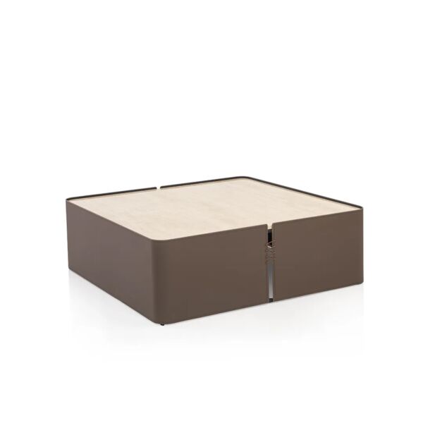 طاولة وسط سالوسيس