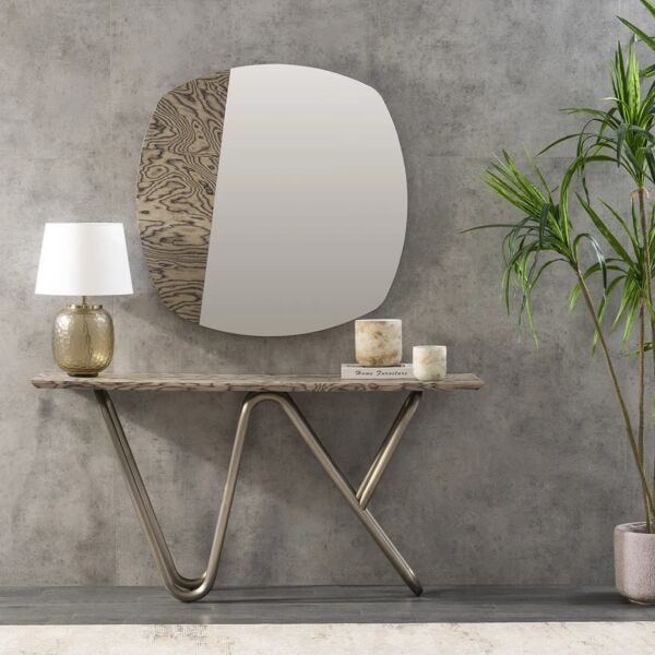 كونسول فايوس