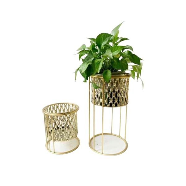 طقم مراكن ورد وزرع ستيلا - ذهبي