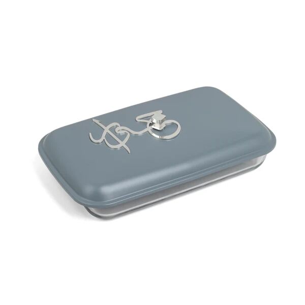 حافظة تقديم طعام كبيرة من جوار - ازرق وفضي