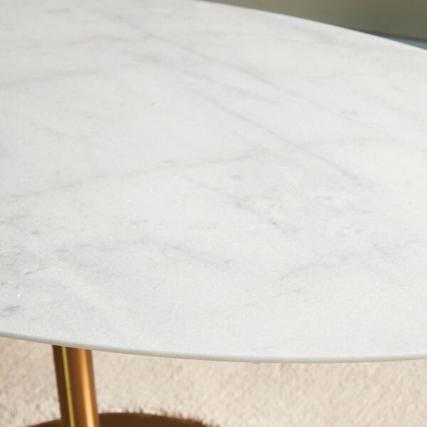 طاولة طعام 6 مقاعد بسطح رخام جانيس - ابيض وذهبي