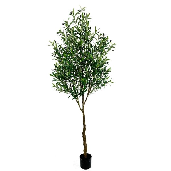 شجرة الزيتون الصناعية 200 سم - اخضر