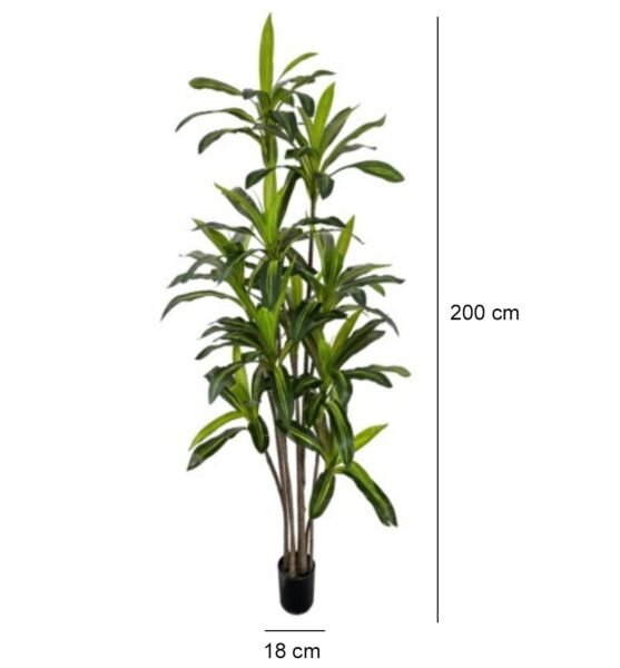 شجرة نبات المطاط الصناعية - 200 سم