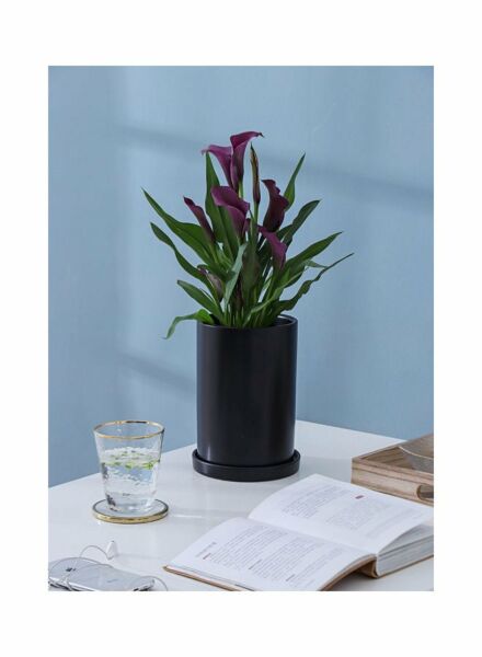 مركن زرع مع صينية لون أسود