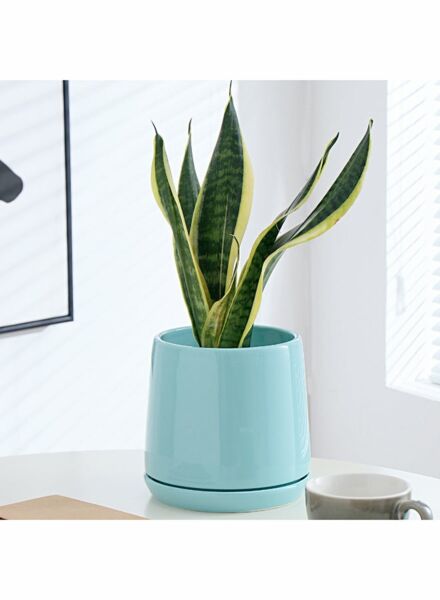 مركن زرع كلاسيك سوليد - ازرق