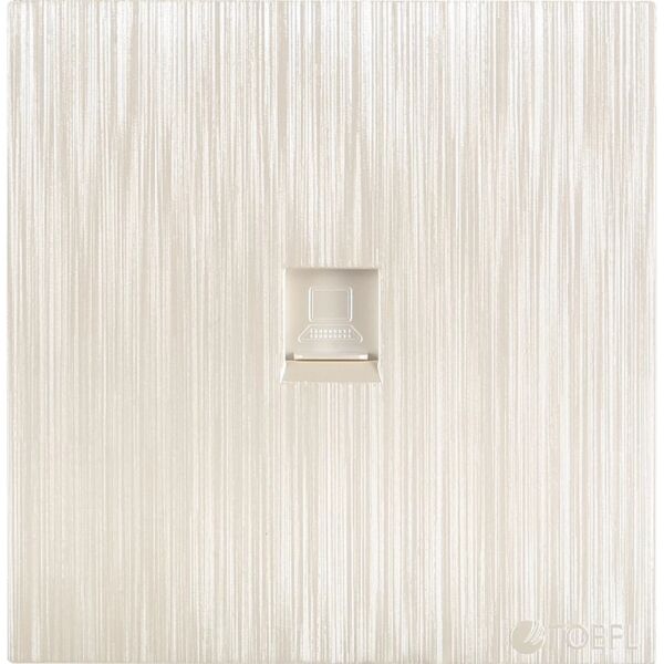 فيش كمبيوتر توفل - بيانو لولي