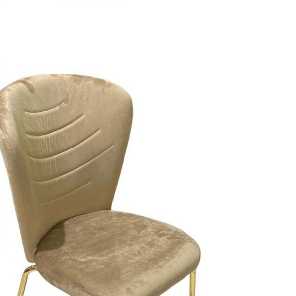 كرسي طعام قماش رويال