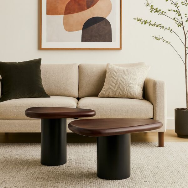 طاولة قهوة قطعتين بونال - بني واسود