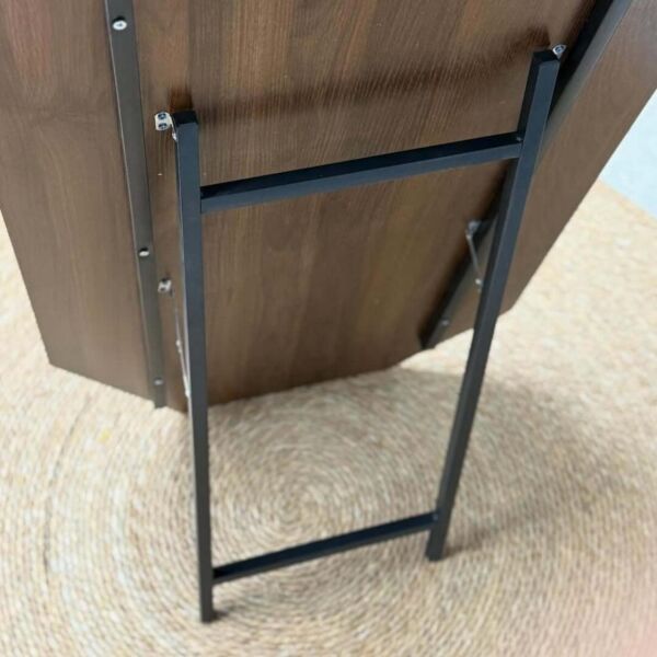 مرآة ارضية طويلة لوغان - بني