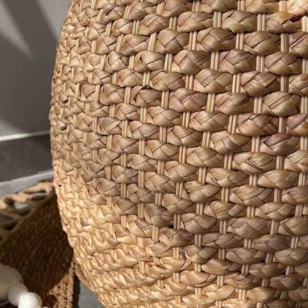 بوف صغير ايلي - بيج