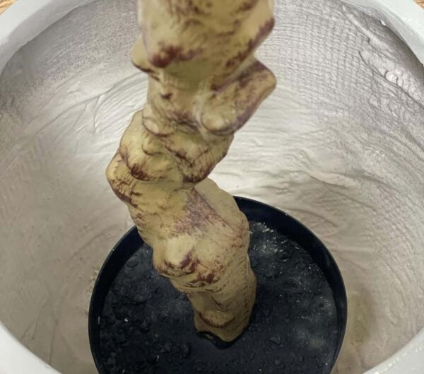 شجرة زيتون صناعية 200 سم مورو - اخضر واسود