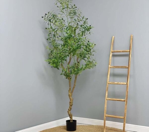 شجرة زيتون صناعية 200 سم مورو - اخضر واسود