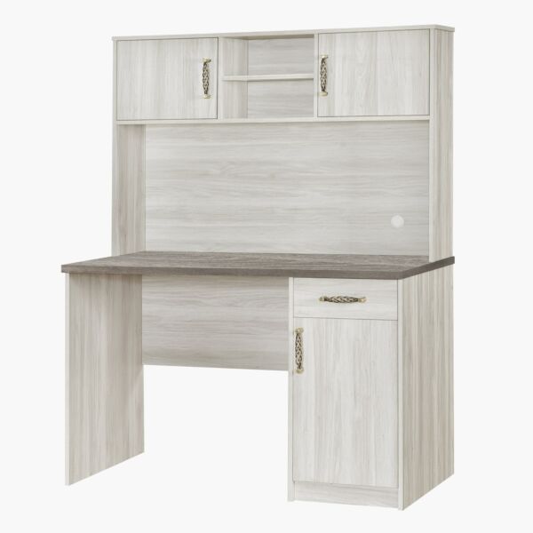 مكتب دراسة مع وحدة تخزين من أنجيليك