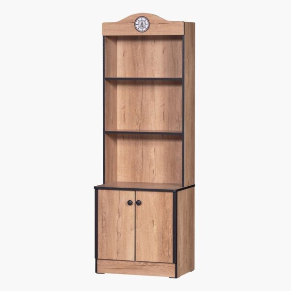 خزانة كتب بدرجين من أوستن