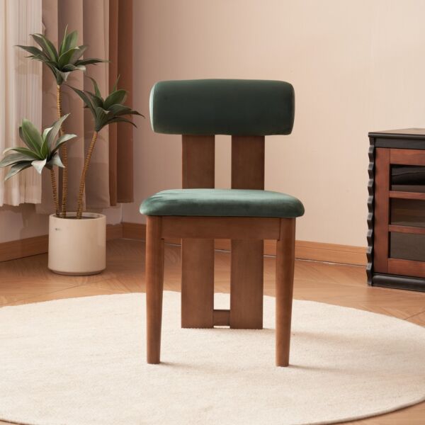 كرسي طعام ايانبلر - اخضر وبني