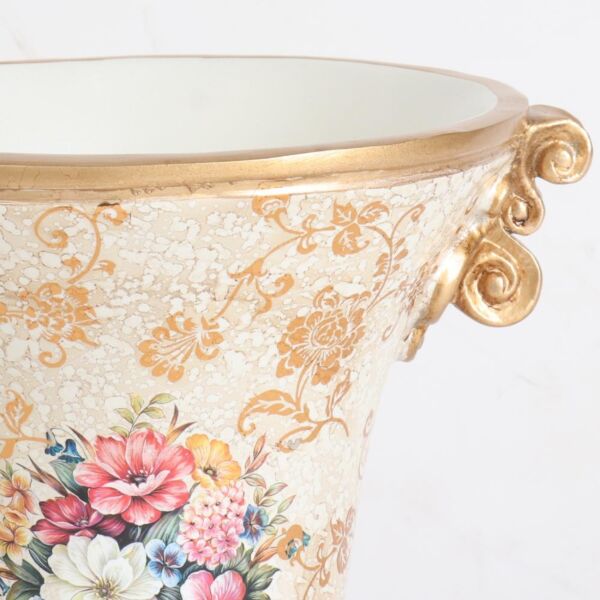 فازة لوتشيا