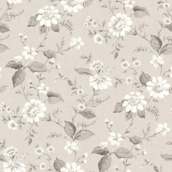 ورق جدران سوالا - بيج