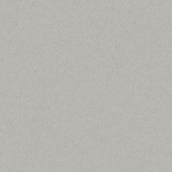 ورق جدران باسيس - رمادي