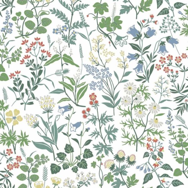 ورق جدران الا تايدرز هاوس لوسيآنو - متعدد الالوان