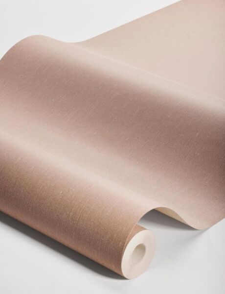 ورق جدران سولي من لينين - ودري فاتح