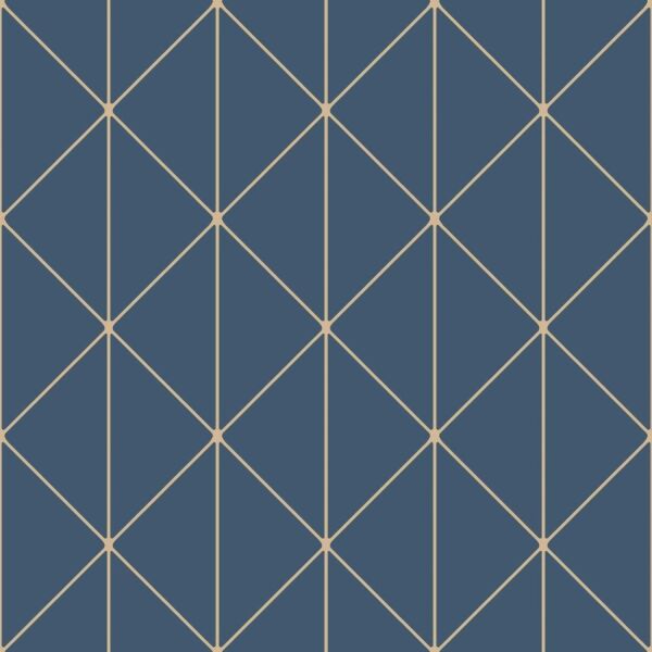 ورق جدران رابر - ازرق