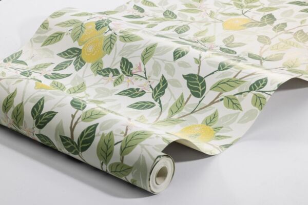 ورق جدران اورانجري - ابيض