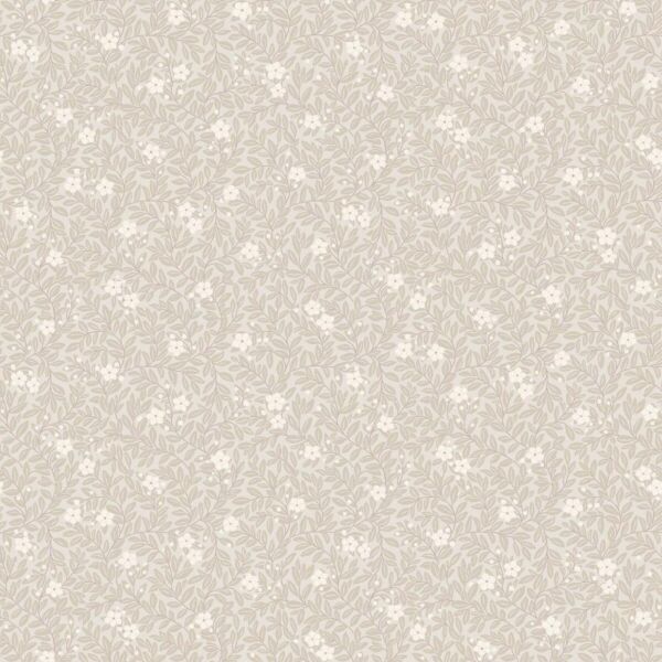 ورق جدران اورانجير - بيج