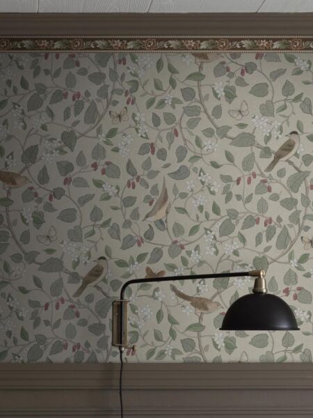 ورق جدران شريط باردر - بني داكن