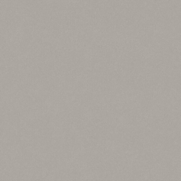 ورق جدران بيجمنت - رمادي داكن