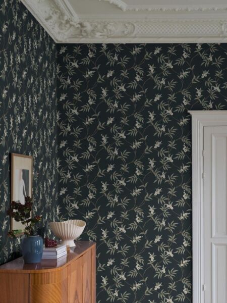 ورق جدران آدورن سانتيا - اسود