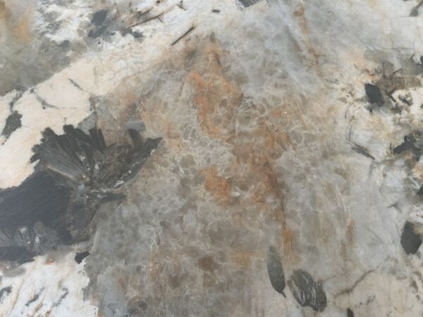 طاولة طعام ناتالي - 8 اشخاص - برونزي