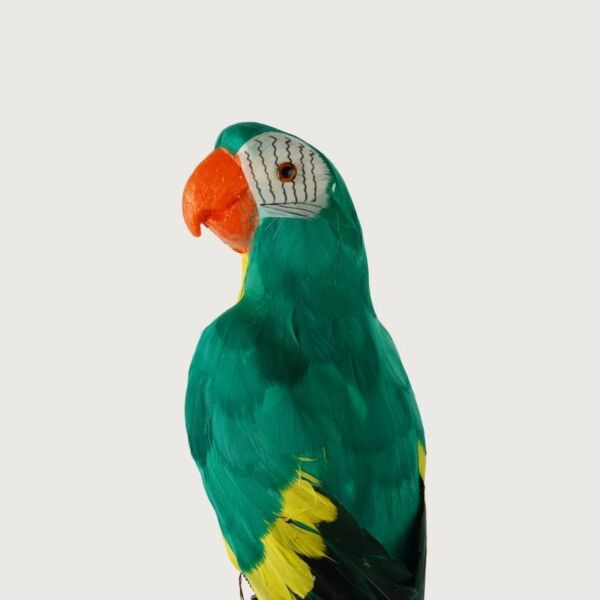 ديكور شكل ببغاء - اخضر