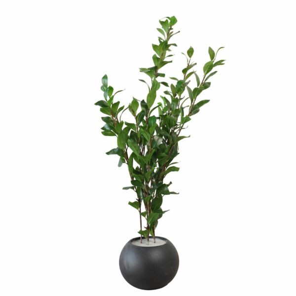 شجرة صناعية ورق اخضر - 120 سم