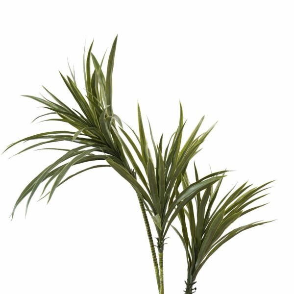 شجرة درسينا صناعية - 1متر