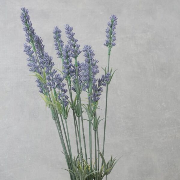 فرع لافندر صناعي - بنفسجي واخضر